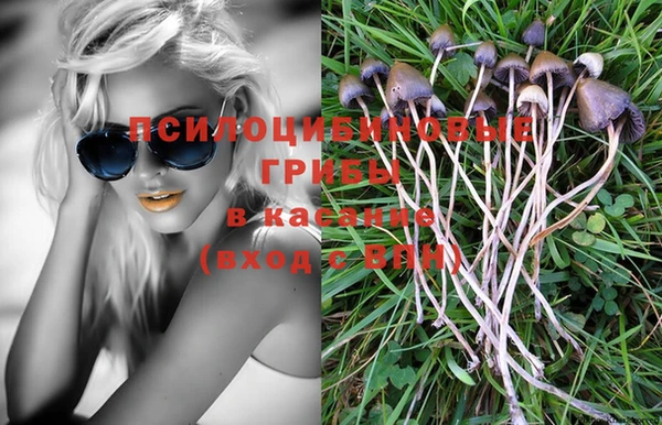 дживик Богданович
