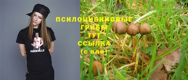 скорость Арсеньев